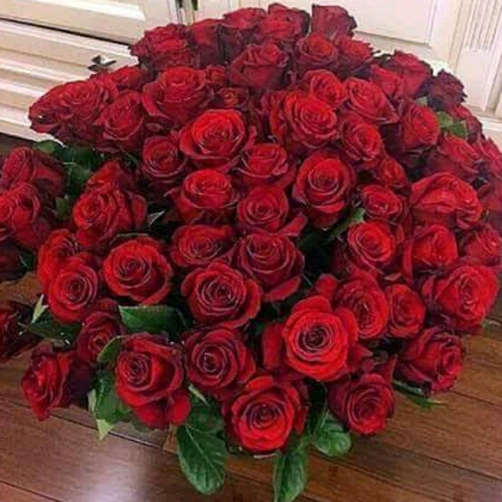 Meet your Posher, Carmela